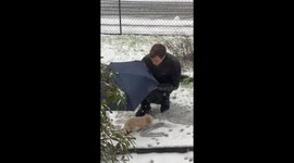 The Boyfriend Who Didn't Want a Puppy