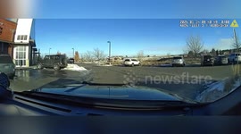 Police ram snowblower thieves into tree in Colorado