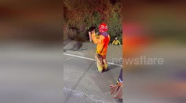 Firemen rescue driver who plunged into canyon in California