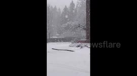 Canada: Winter Storm Batters B.C.’s South Coast, Disrupting Travel 2