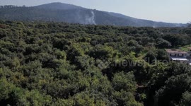 U.S. consumers will foot the bill as tariff kicks in: Mexican avocado industry insiders