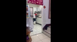 Dog excitedly jumps while waiting for food in Chaozhou, Taiwan