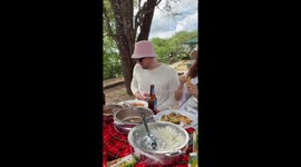 Monkeys steal banana during meal in Unguja, Tanzania