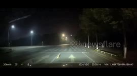 Rabbit spotted hopping in the middle of the road in Hunan, China