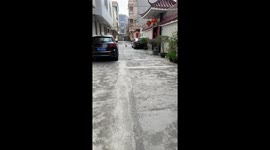 Pet dog chased by remote control car in Guangzhou, China