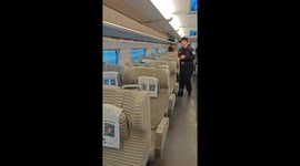 Bird sneaks inside train in Guangzhou, China