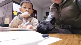 Dog peacefully sleeps while father helps son with homework in Shandong, China