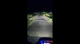 Huge snake spotted crossing street in Randublatung, Indonesia