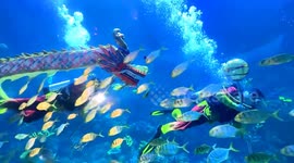 Stunning underwater dragon dance to welcome New Year at Chinese aquairum