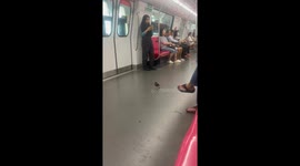 Bird exits train in Singapore after doors open for passenger