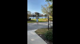 Crane chases man in Port Charlotte, Florida, USA