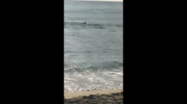 Bystanders unite to rescue drowning tourist in Casiguran, Aurora, Philippines
