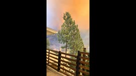 Wildfire spreads rapidly in Palisades, Los Angeles, USA