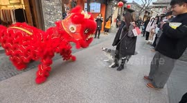 Dog barks at dragon dancers but retreats when confronted