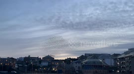 Murmuration of Starlings over Penzance harbour just before dusk on 3rd February 2025