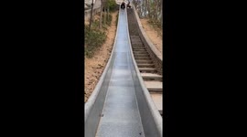 Dog struggles to stand on slide in Jiangxi Province, China