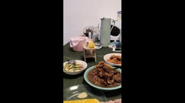 Hamster joins family at the dining table in Guangdong province