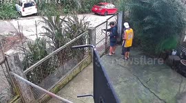 Dog jumps fence to escape in Baguio, Philippines