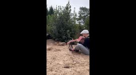 Musician plays guitar and sings with meerkats in Neuvillette-en-Charnie, France