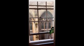 Exclusively- Spooky timing: Ghostly encounter caught on camera in Bristol