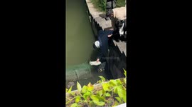 Locals rescue kitten stuck on net fence in Zhejiang, China