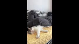 Cat bites person after repeated disturbance while trying to sleep, Jiangsu province, China