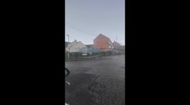 Dog's great escape in Belfast, Ireland