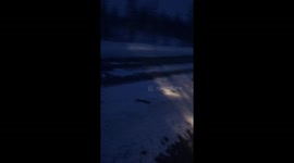 Wild fox struggles to walk on snowy road before accepting food in Novy Urengoy, Russia