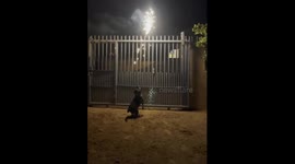Dog tries to catch fireworks in Pretoria