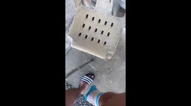 Dog hilariously mimics owner using crutches in Rosario, Philippines