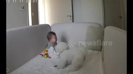 Dog and child share a heartwarming moment in Seoul
