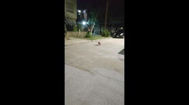 Child trips during playful chase with dog in San Miguel, Argentina