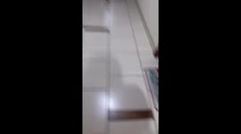 Clever girl outsmarts Santa Claus in Santiago, Chile