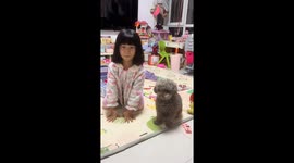 Teddy dog imitates child's actions in Liaoning province, China