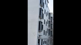 Dog falls from unfinished building in Guangdong province, China