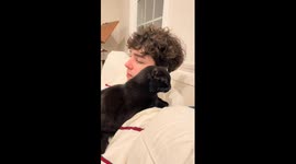 Man and cat beatbox in harmony in New York, USA