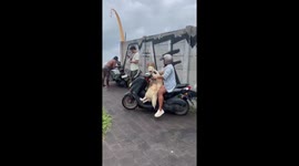 Dog with Christmas headband rides motorcycle in Bali, Indonesia