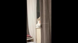 Child's play leads to cat falling in Sochi, Russia