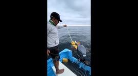 Rescuers free entangled turtles from trash in Nayarit, Mexico