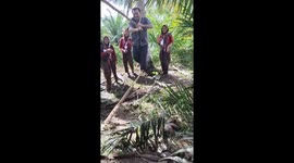 Instructor attempts rope obstacle course but falls in Kutai Kartanegara, Indonesia
