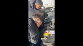 Kitten rescued from car bonnet on Christmas Eve in Jiangsu, China