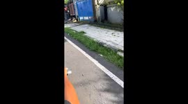 Dog chases motorcycle rider in Tabanan, Bali.