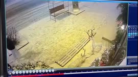 Deer figurine stolen from restaurant in Krasnoyarsk, Russia