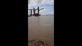 Fisherman catches iguana while fishing in Rosario, Argentina