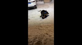 Boy plays with dog in the snow in Heilongjiang, China