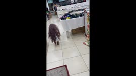 Little girl in a very long wig in the mall. Cute video!