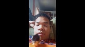 The chick suddenly popped into the man's open mouth!