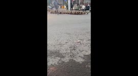 A huge number of geese organized crossing the road!