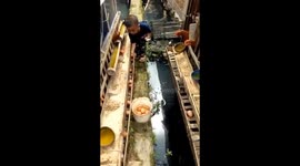 The boy was suddenly pecked by a chicken in the chicken coop