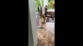 The girl was scared of the statue with a strange face!